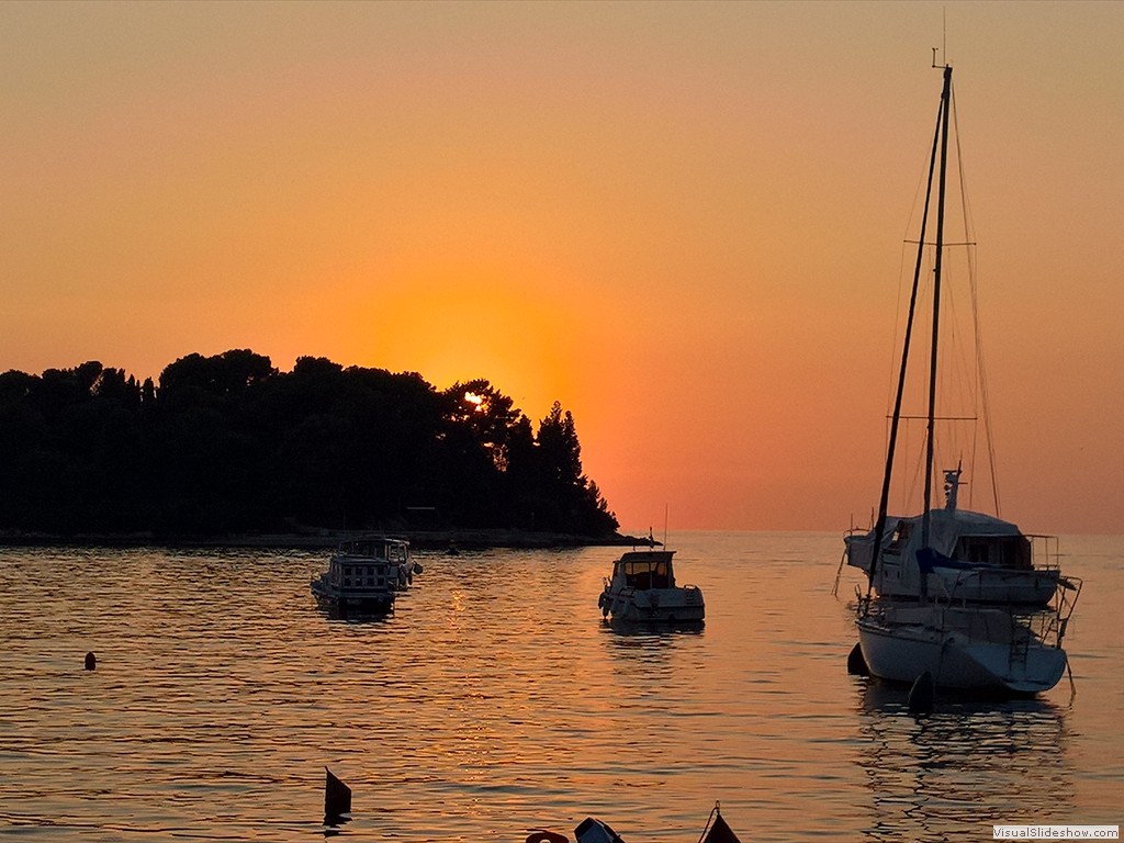 WP_20180915_18_59_37_Pro