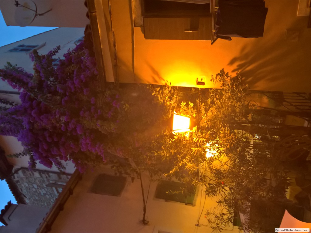 WP_20180917_19_31_32_Pro