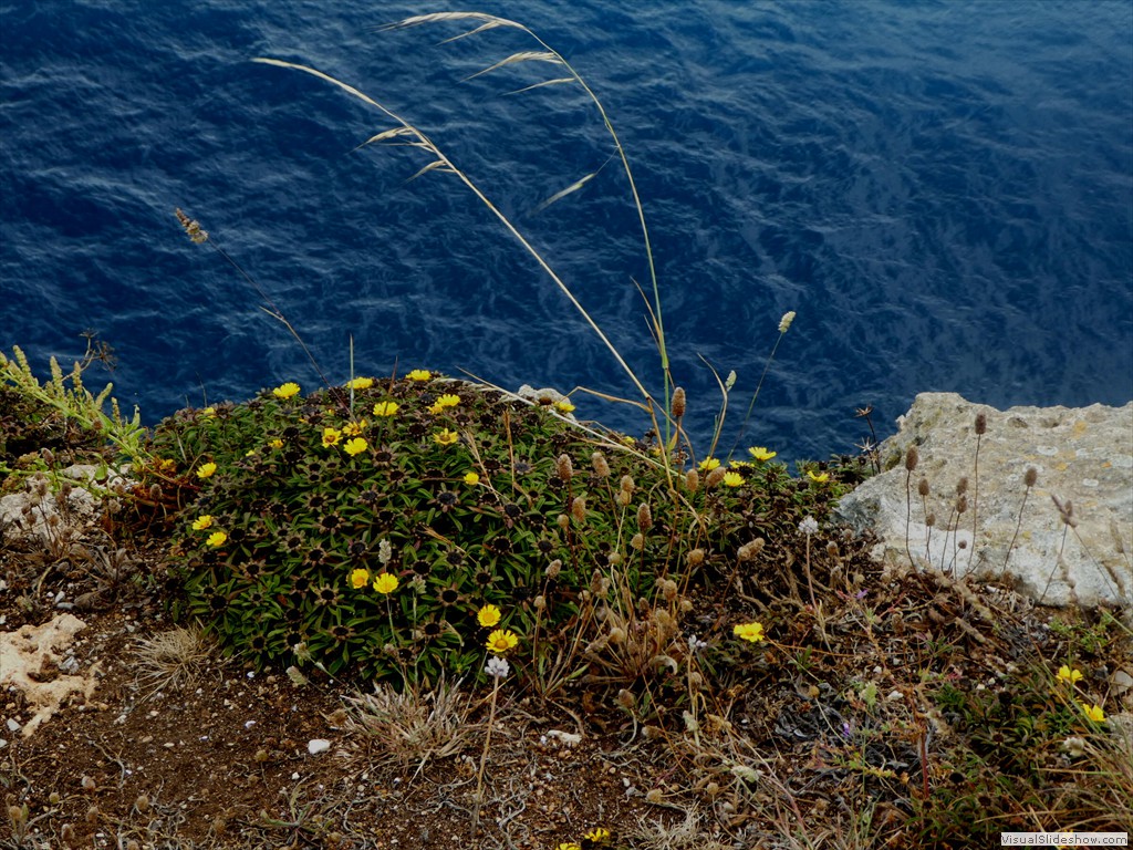 P1010289