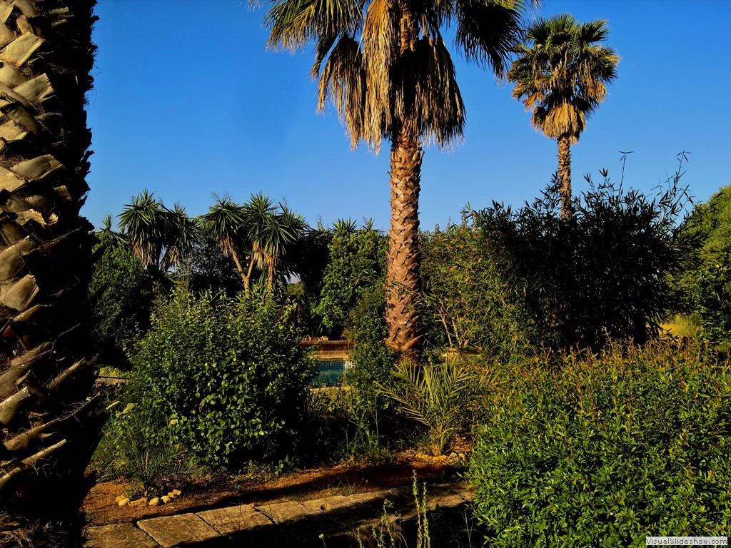 WP_20180531_08_34_49_Pro