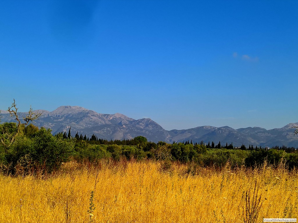 WP_20180531_08_41_11_Pro