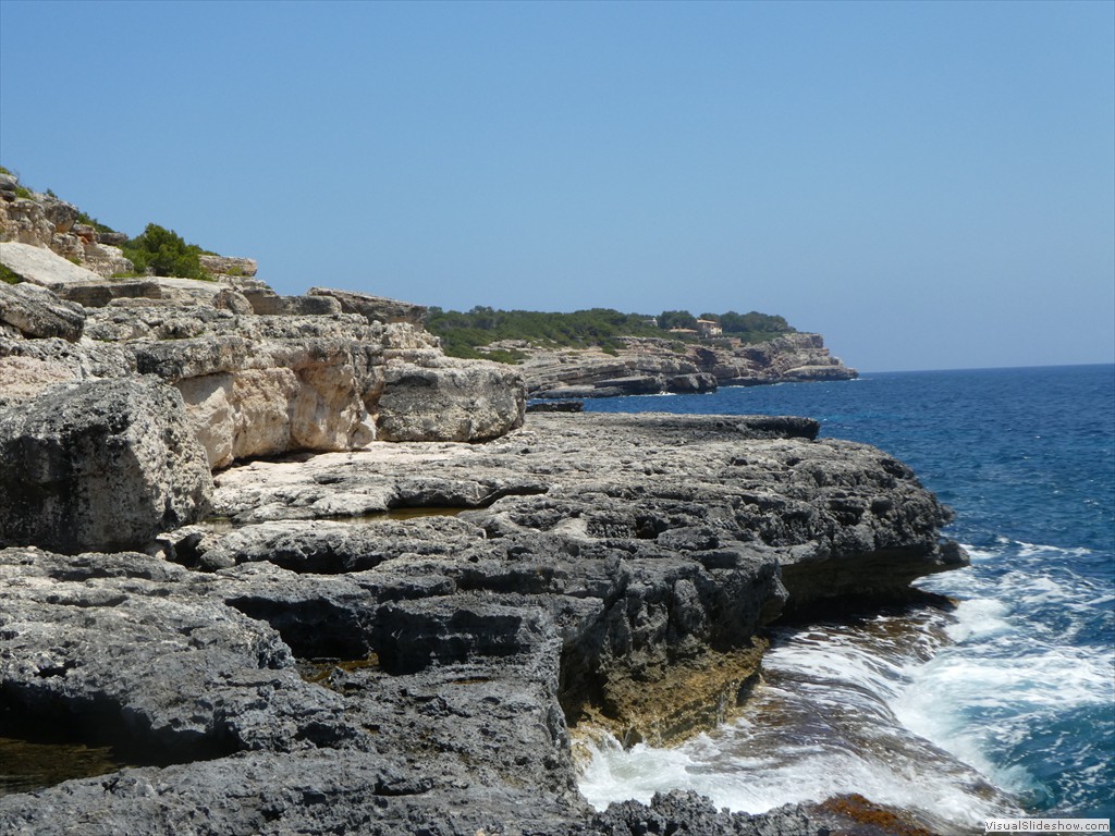 P1010318
