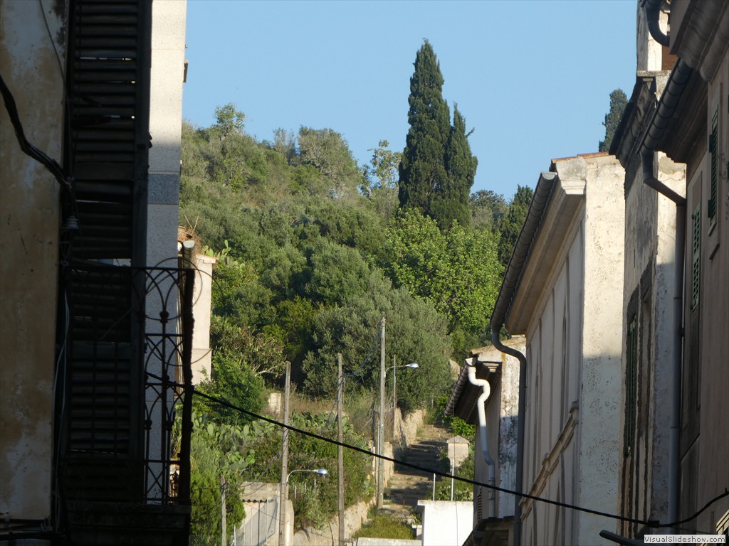 P1010343