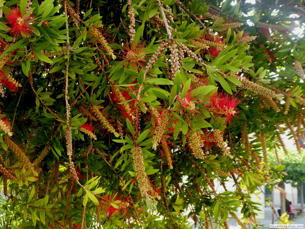 P1010344