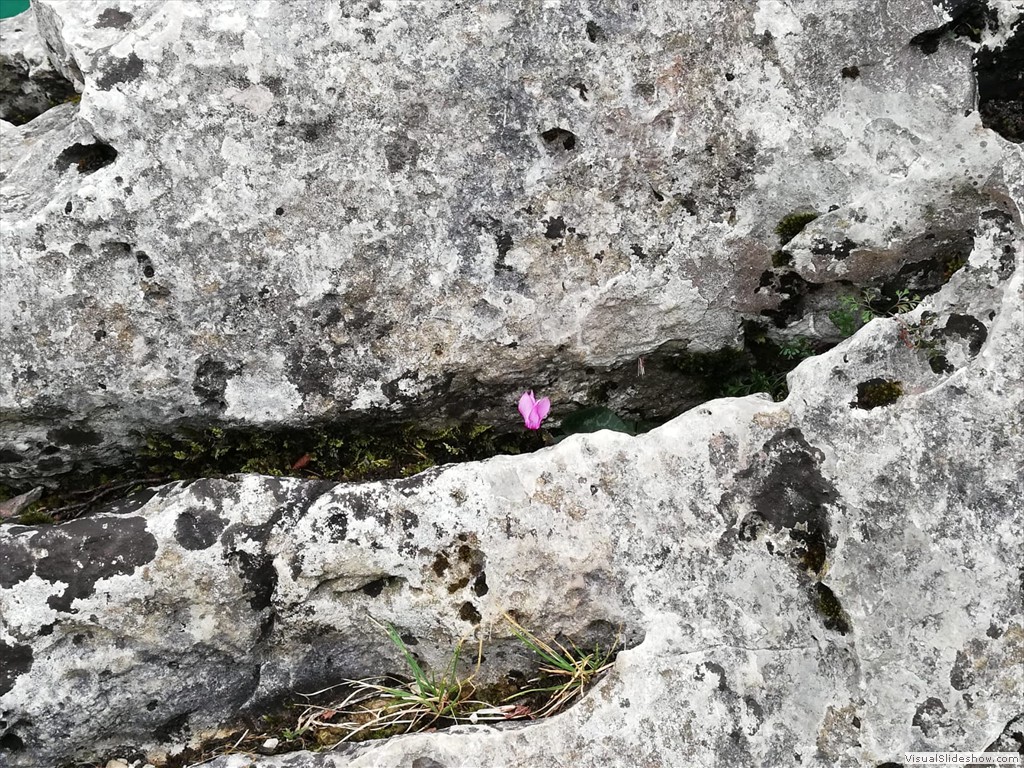IMG-20190728-WA0003