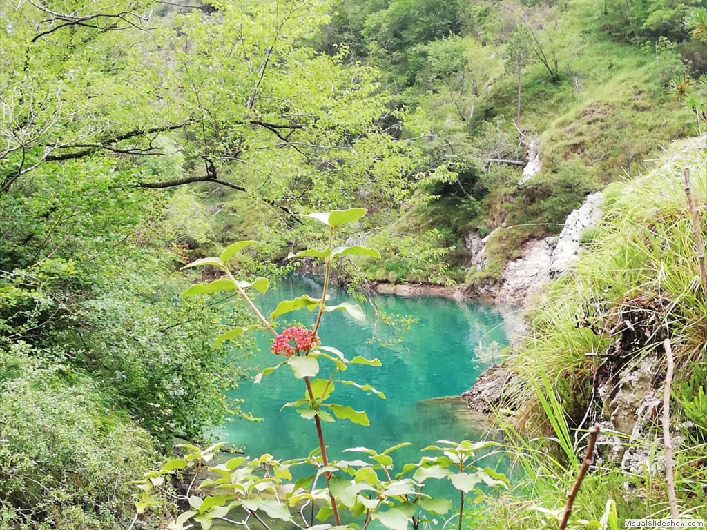 IMG-20190728-WA0004