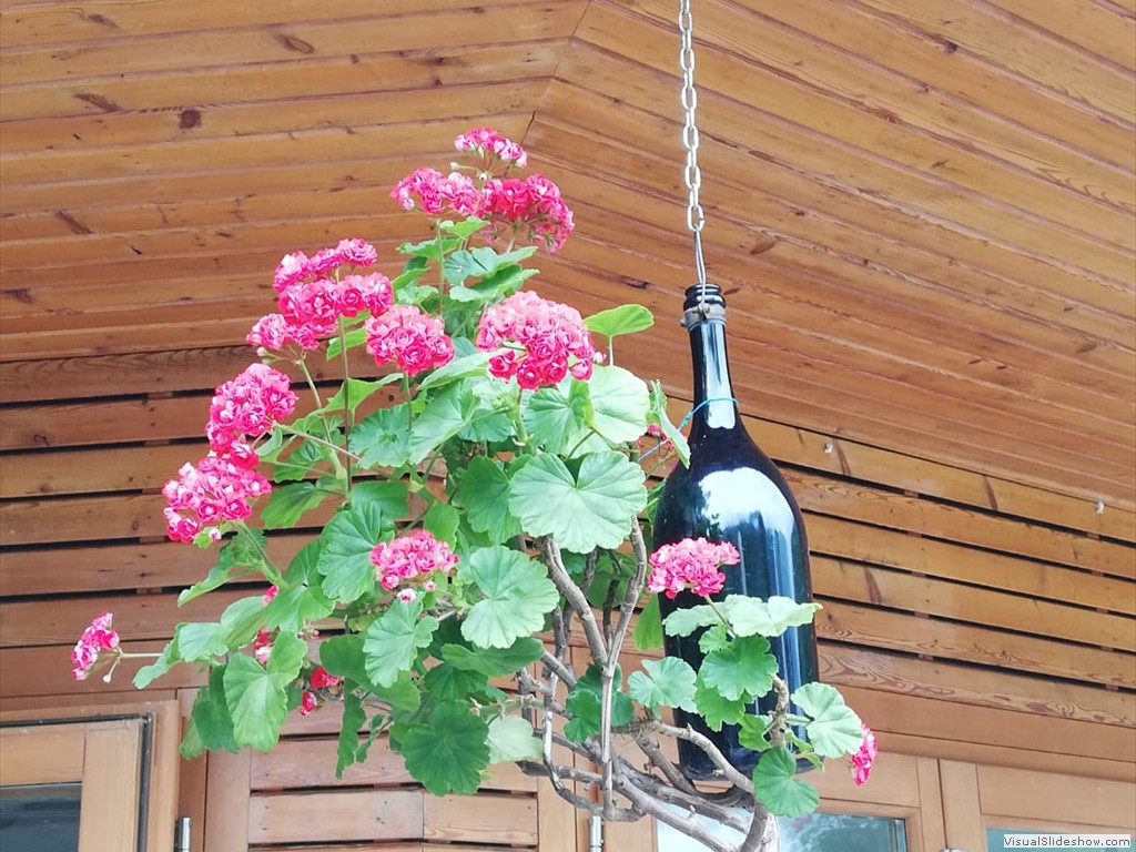 IMG-20190728-WA0008