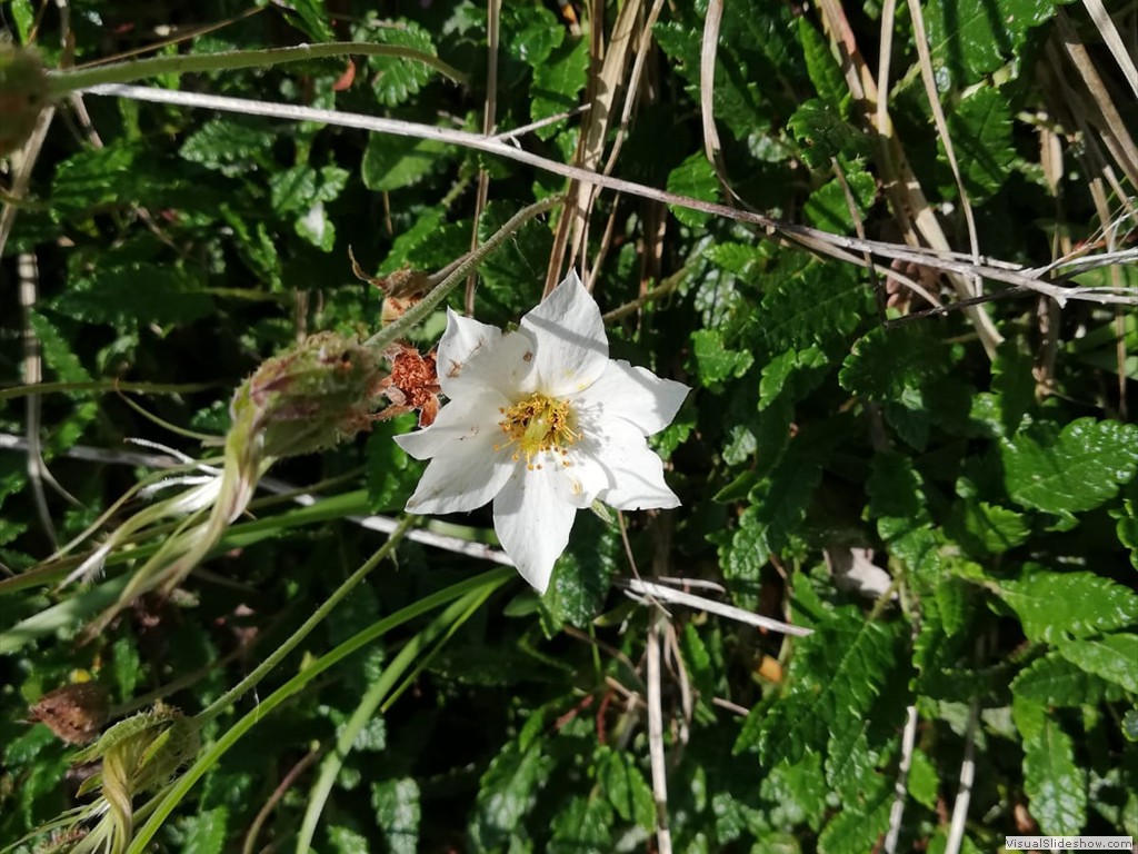 IMG-20190728-WA0010