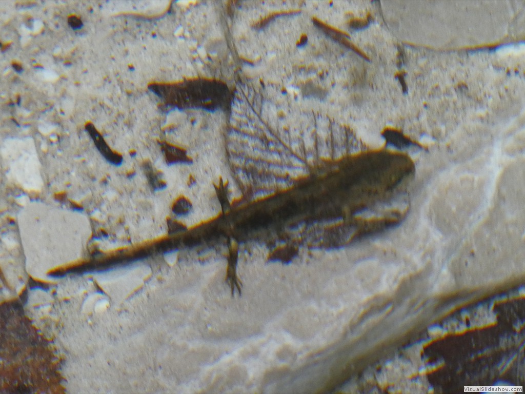P1070842