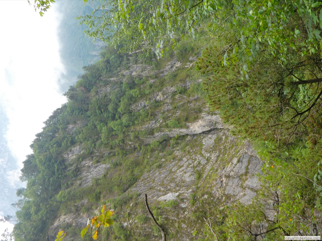 P1080006