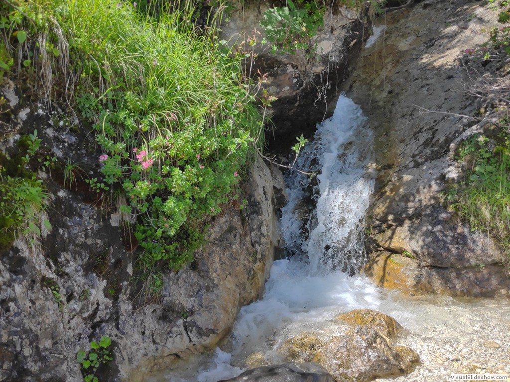 IMG_20190729_105430