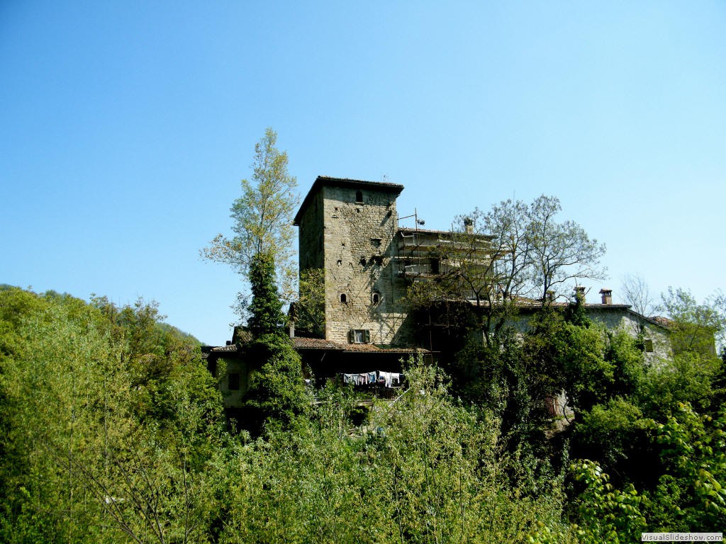 afr11042