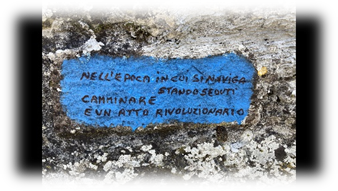 Camminaemangia