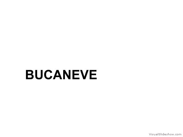 BUCANEVE