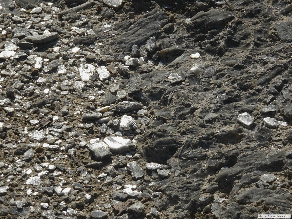 DSC02785