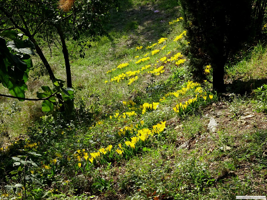 DSC02799