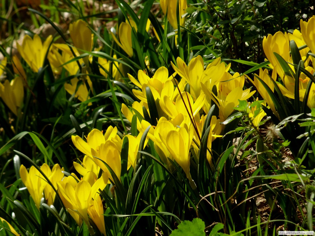DSC02800