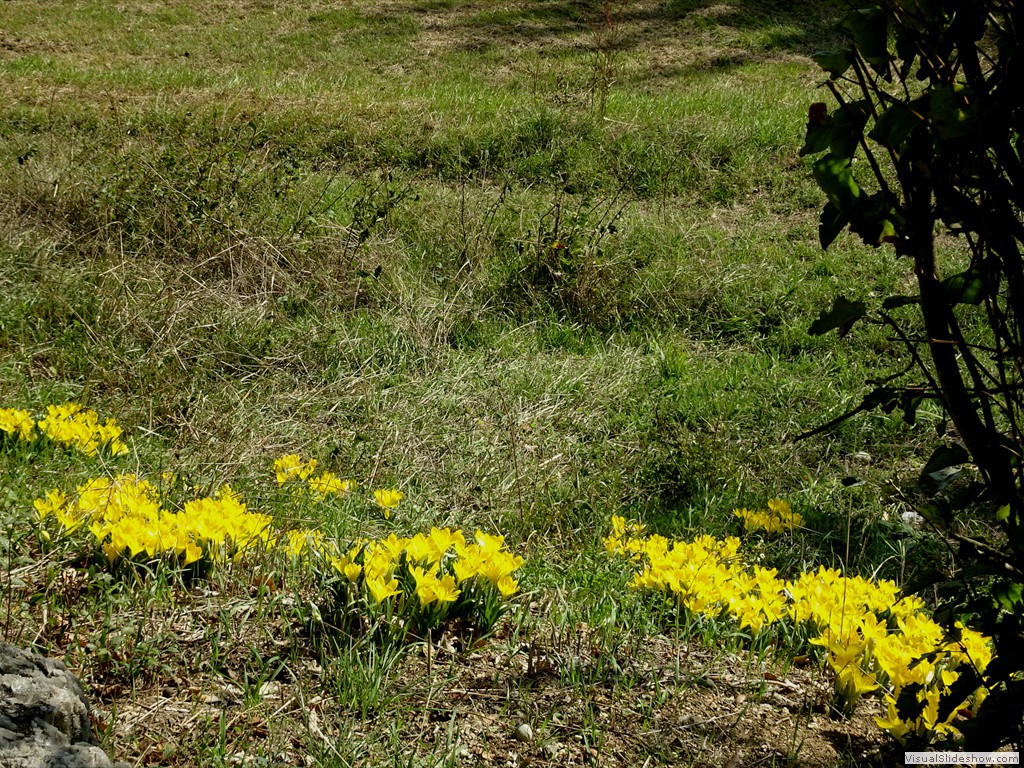 DSC02802