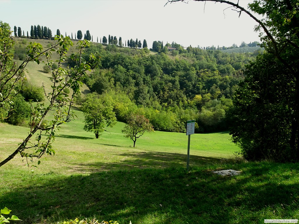 DSC02804