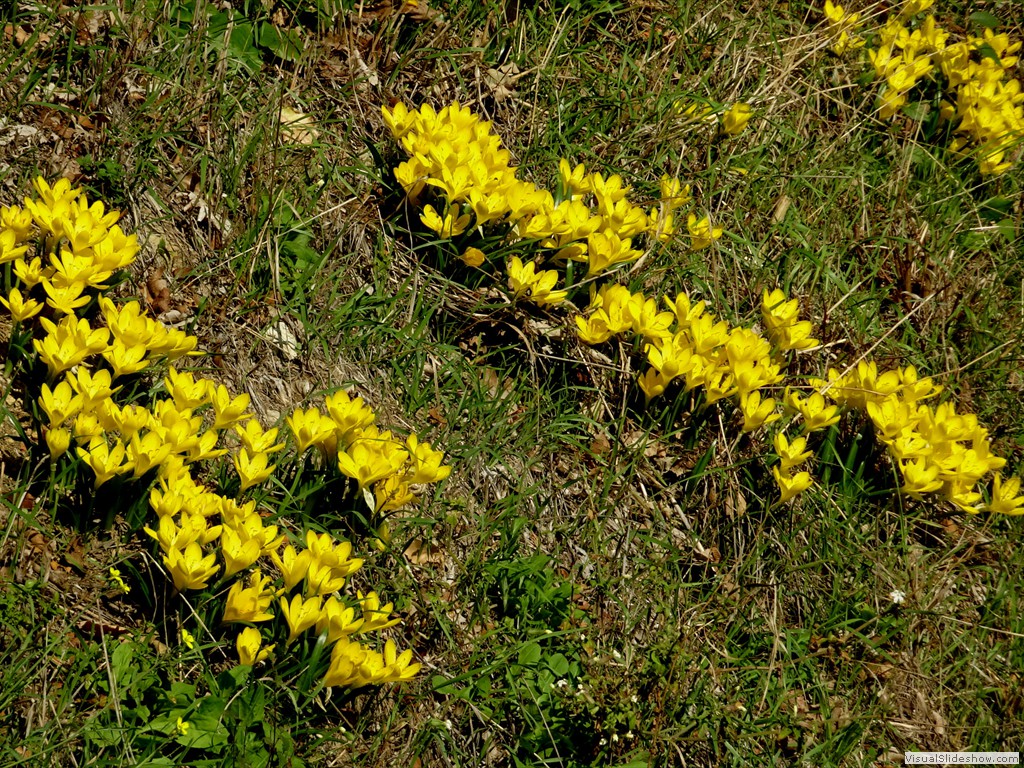 DSC02806