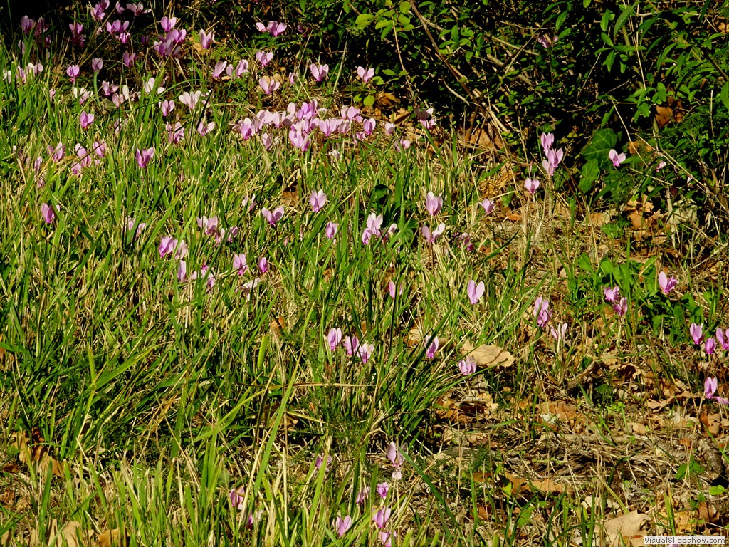 DSC02809