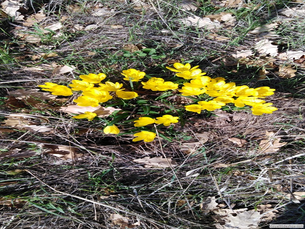 IMG-20201007-WA0011