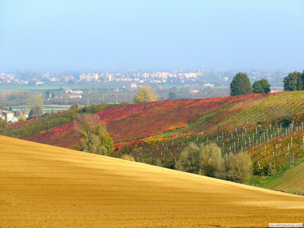 P1090083