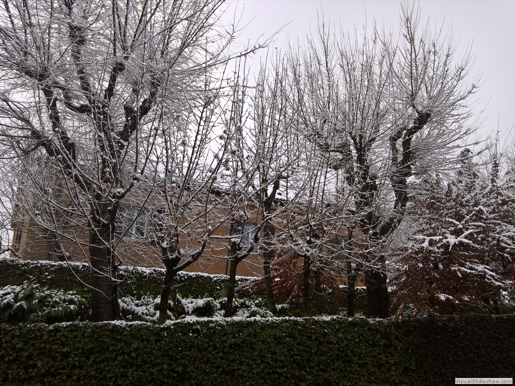 WP_20190123_10_04_27_Pro
