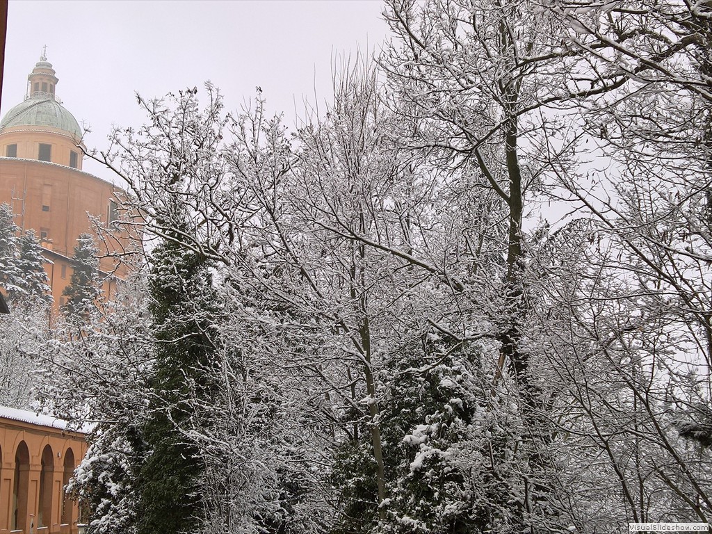 WP_20190123_10_10_01_Pro