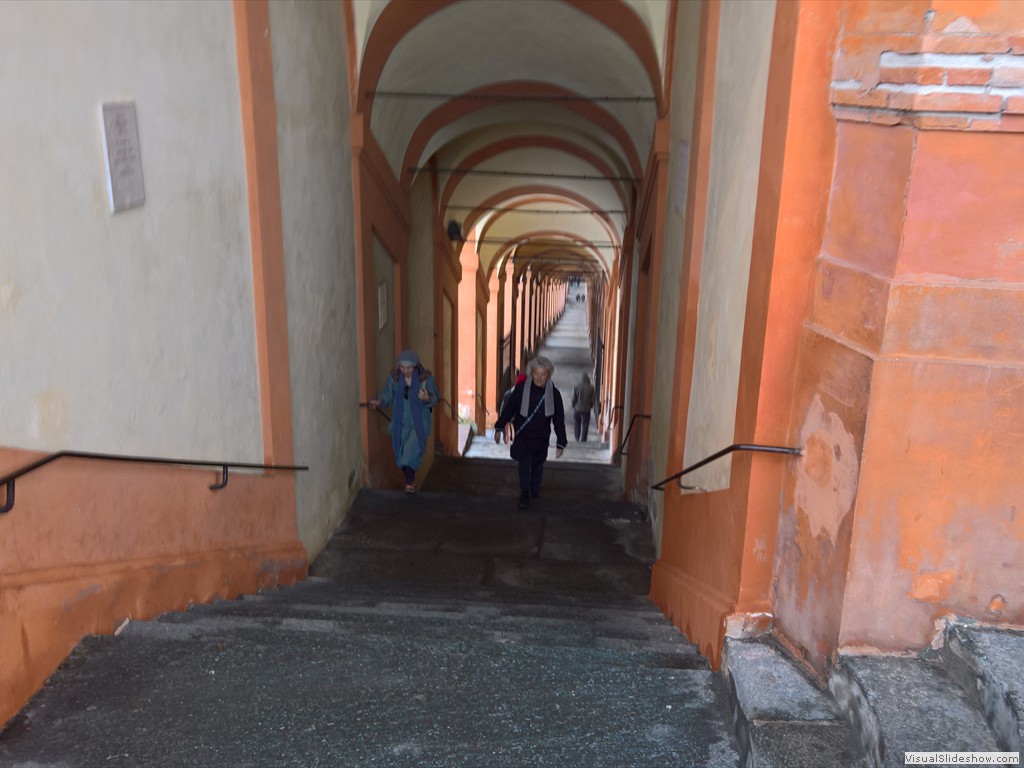 WP_20190123_10_15_46_Pro