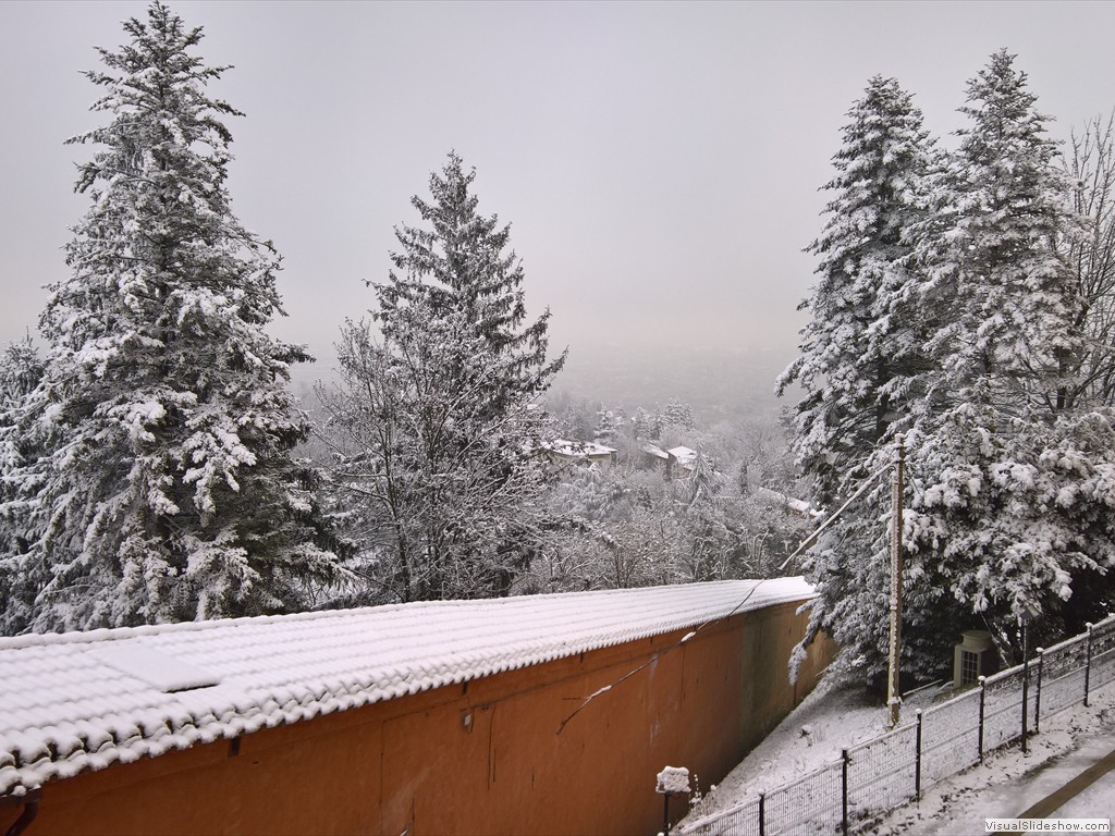 WP_20190123_10_16_27_Pro