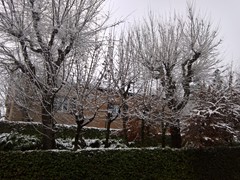 WP_20190123_10_04_27_Pro