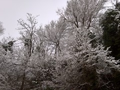 WP_20190123_10_07_10_Pro