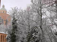 WP_20190123_10_10_01_Pro