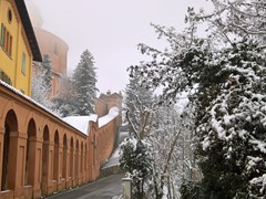 WP_20190123_10_10_28_Pro