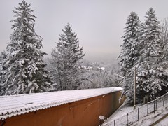 WP_20190123_10_16_27_Pro
