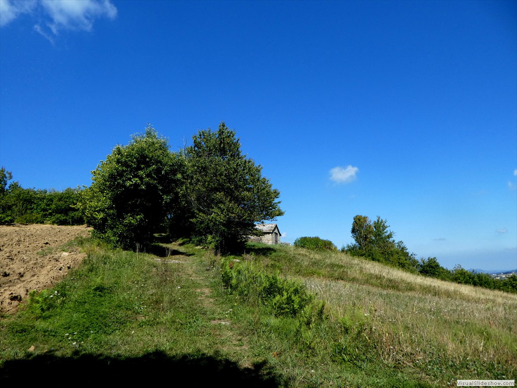 P1030287