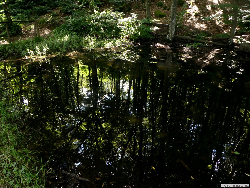 P1030300