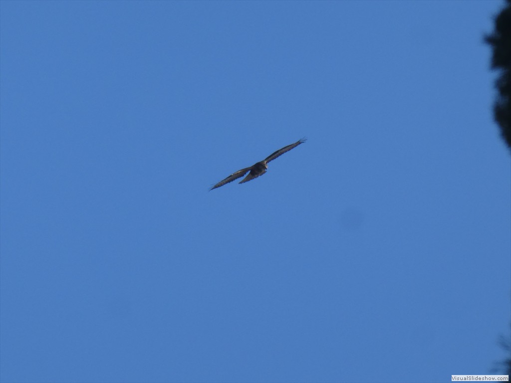P1100867