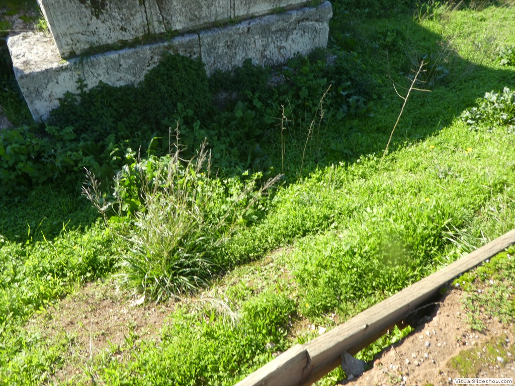 P1110008