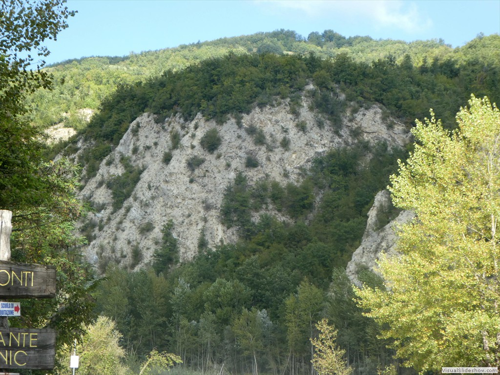 P1030541