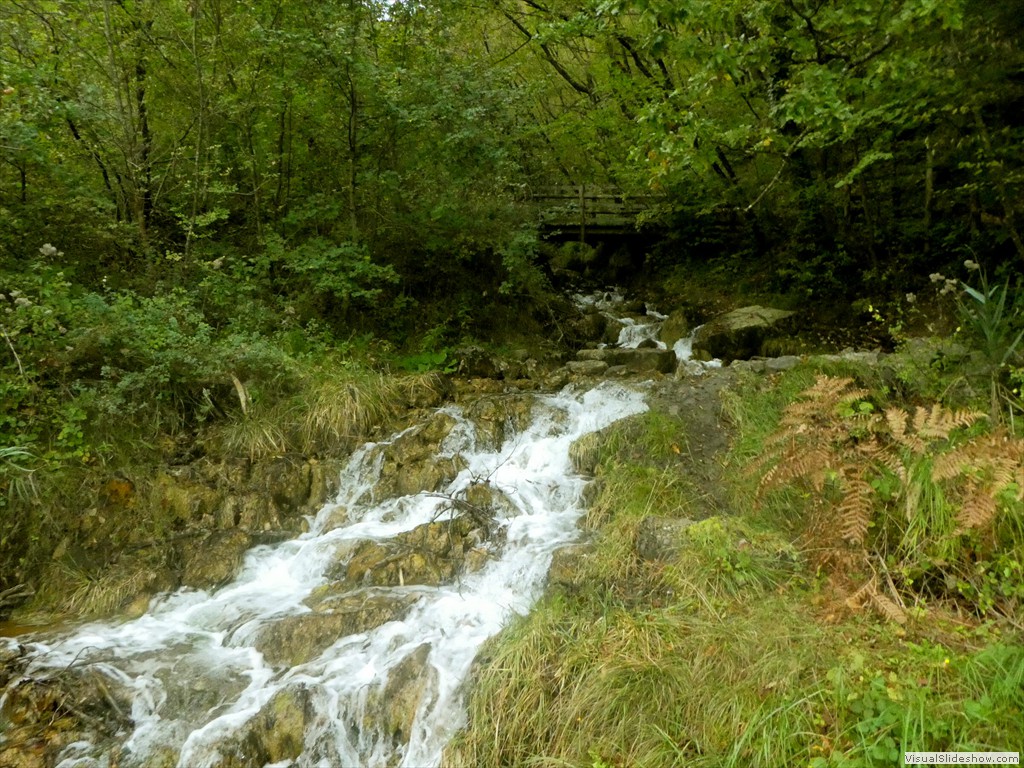 P1030545