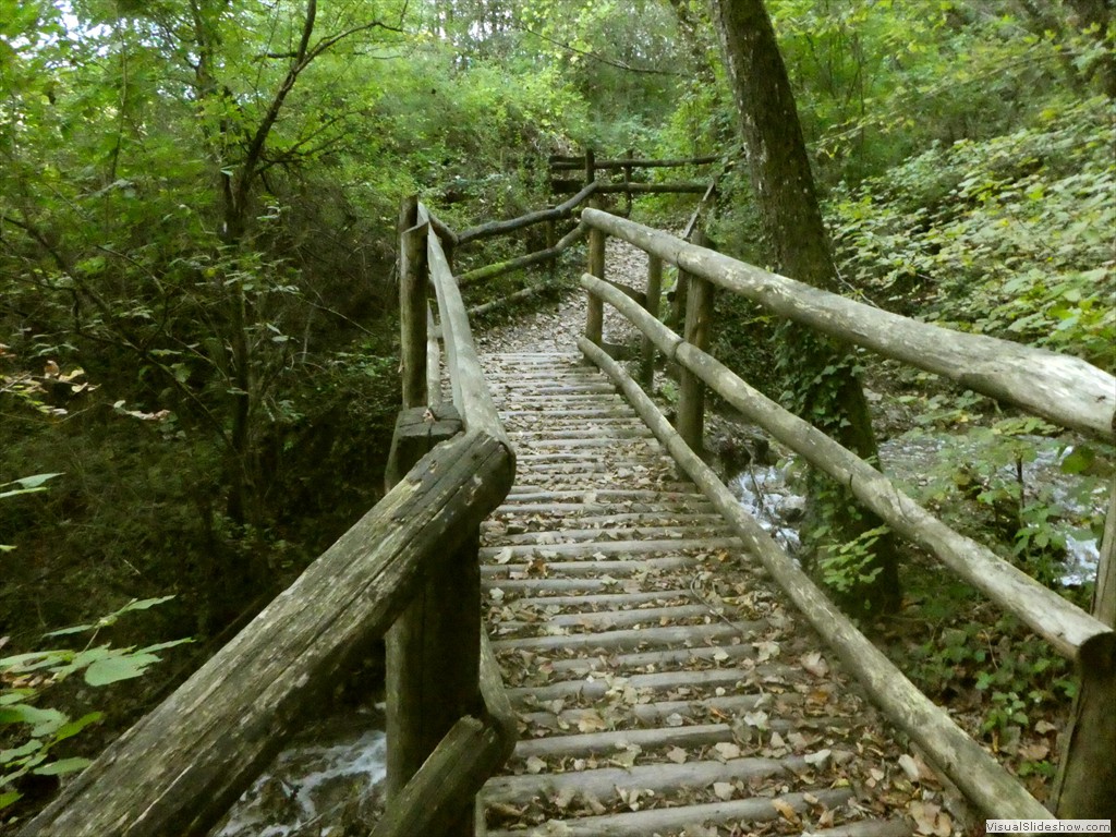 P1030546