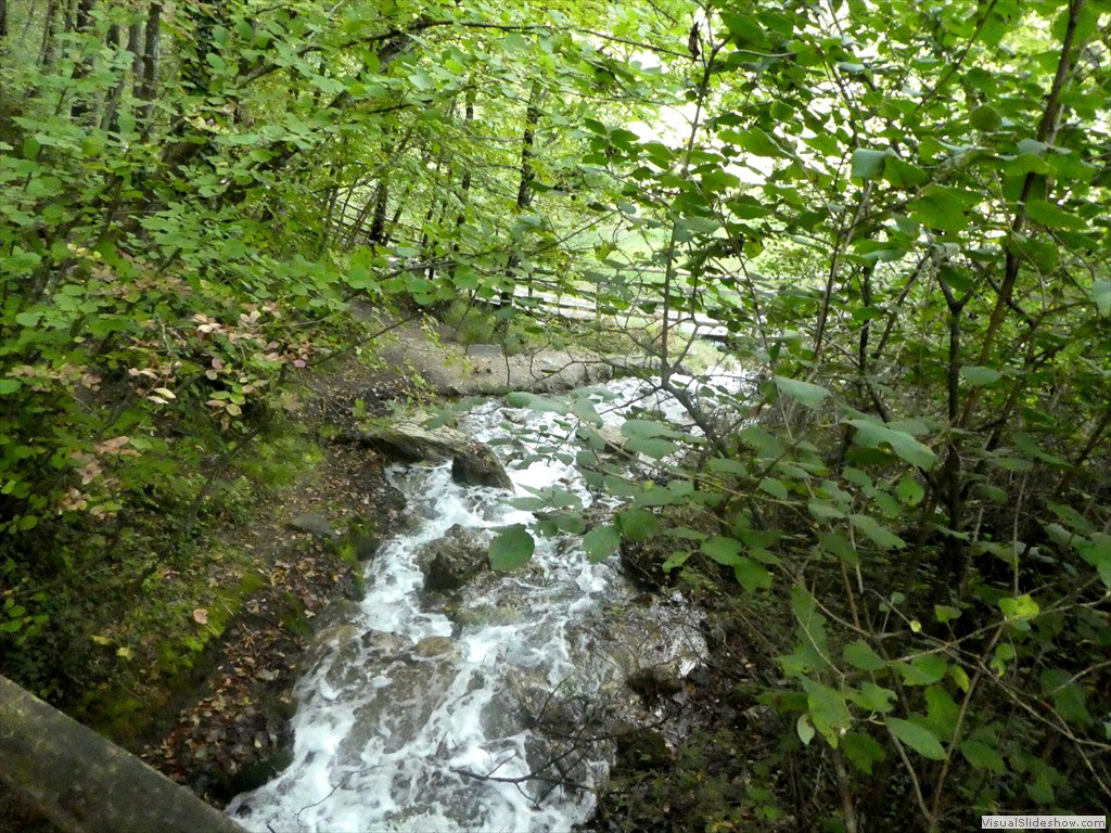 P1030548