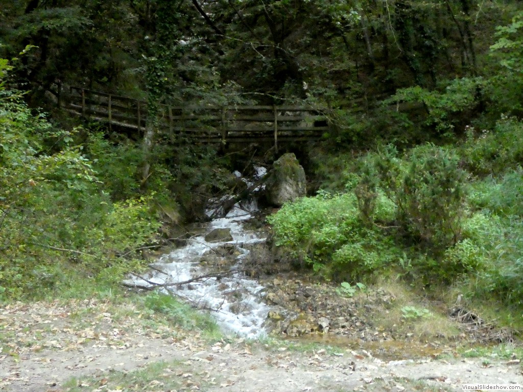 P1030550