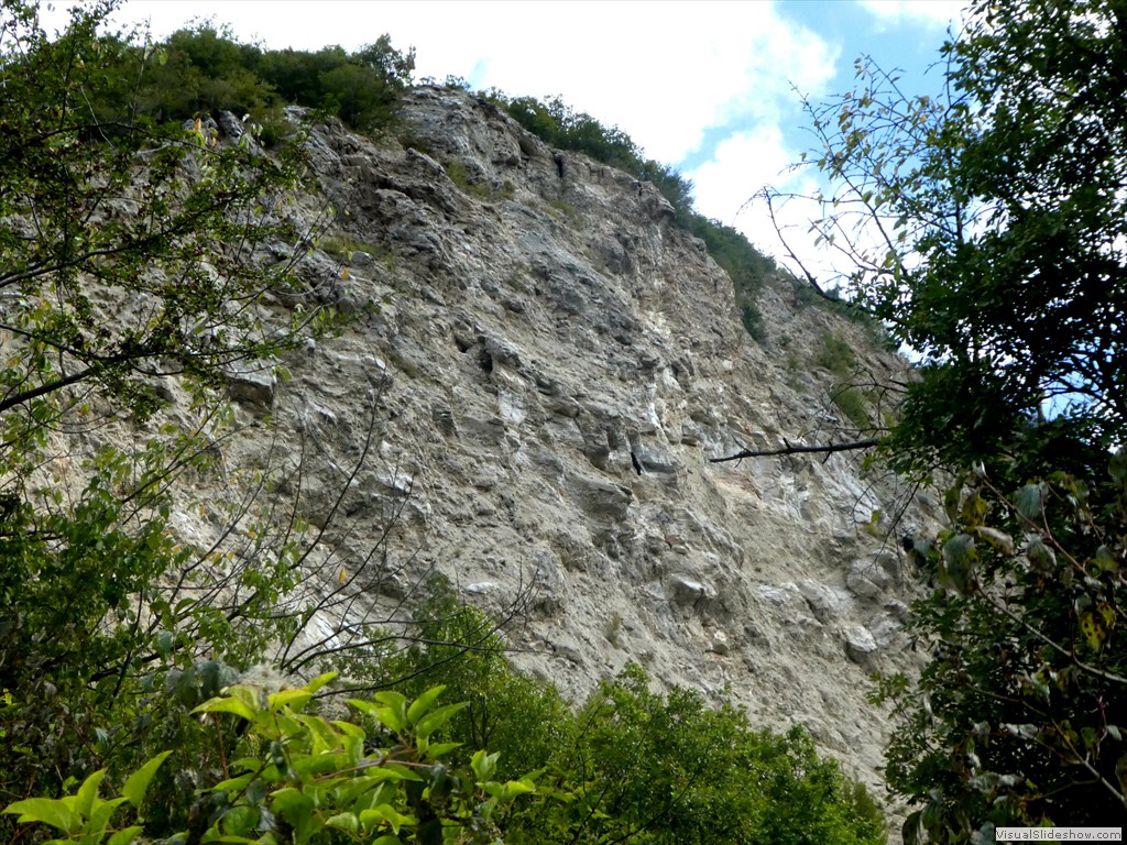 P1030552