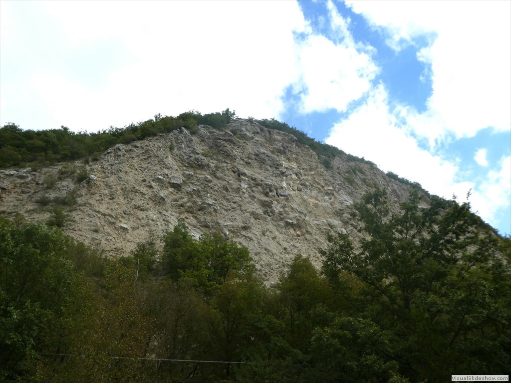 P1030553
