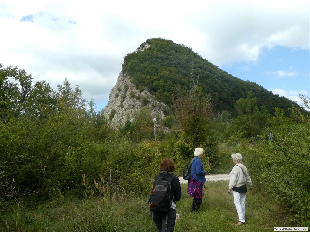P1030554