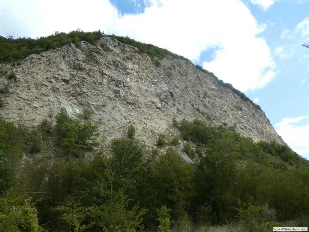 P1030555