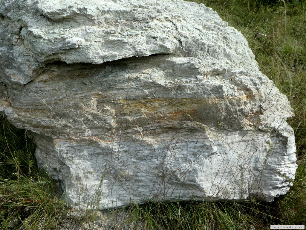 P1030556